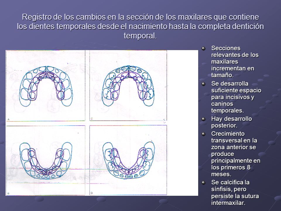 Registro de los cambios en la sección de los maxilares que contiene los dientes temporales desde el nacimiento hasta la completa dentición temporal.