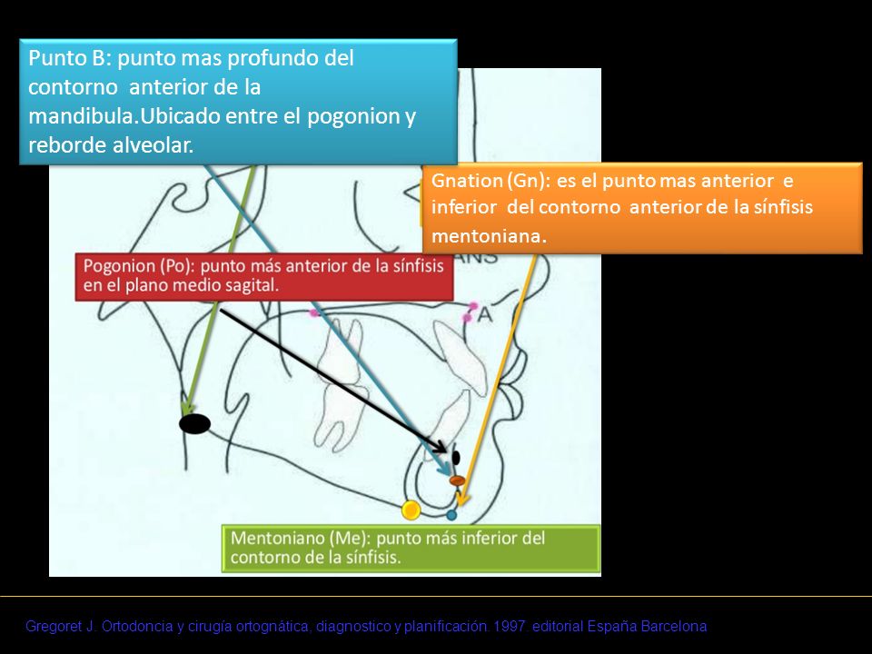 Punto B: punto mas profundo del contorno anterior de la mandibula