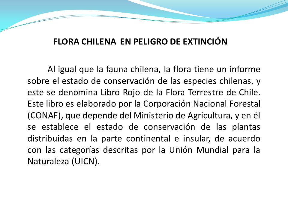 FLORA CHILENA EN PELIGRO DE EXTINCIÓN Al igual que la fauna chilena, la flora tiene un informe sobre el estado de conservación de las especies chilenas, y este se denomina Libro Rojo de la Flora Terrestre de Chile.