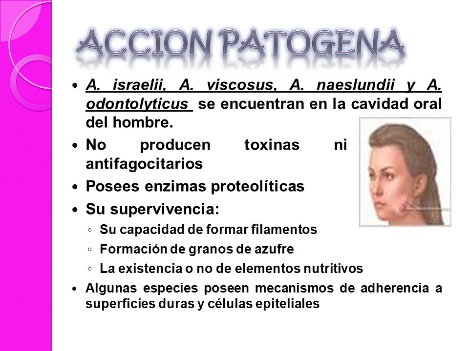 ACCION PATOGENA A. israelii, A. viscosus, A. naeslundii y A. odontolyticus se encuentran en la cavidad oral del hombre.