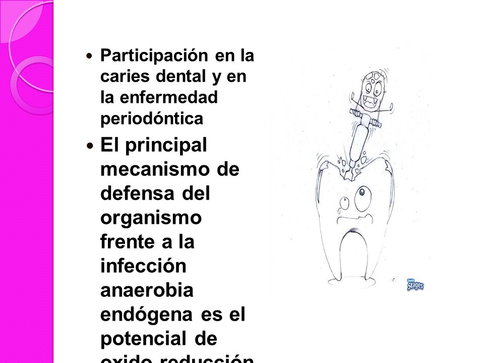 Participación en la caries dental y en la enfermedad periodóntica