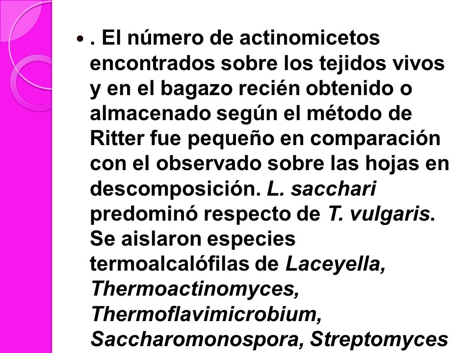 El número de actinomicetos encontrados sobre los tejidos vivos y en el bagazo recién obtenido o almacenado según el método de Ritter fue pequeño en comparación con el observado sobre las hojas en descomposición.
