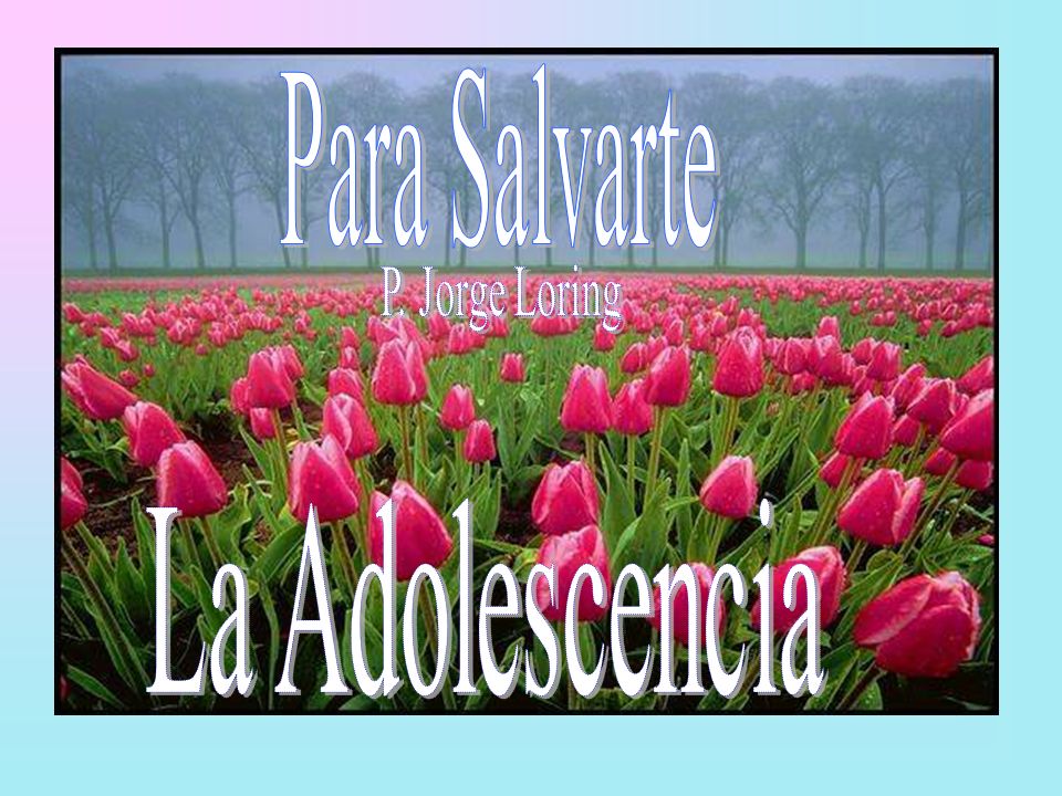 Para Salvarte P. Jorge Loring La Adolescencia