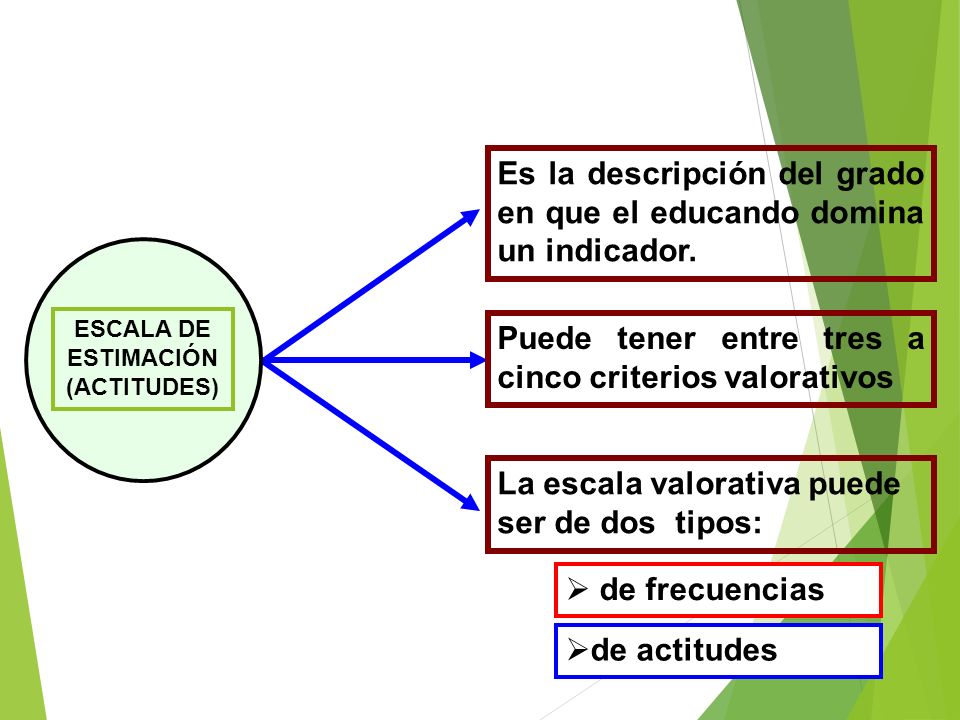 Es la descripción del grado en que el educando domina un indicador.