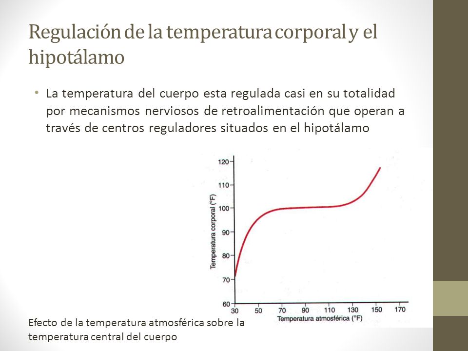Regulación de la temperatura corporal y el hipotálamo