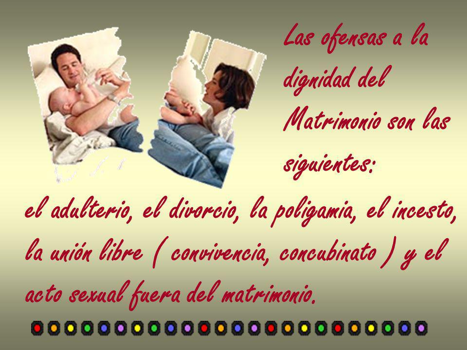 Las ofensas a la dignidad del. Matrimonio son las. siguientes: el adulterio, el divorcio, la poligamia, el incesto,