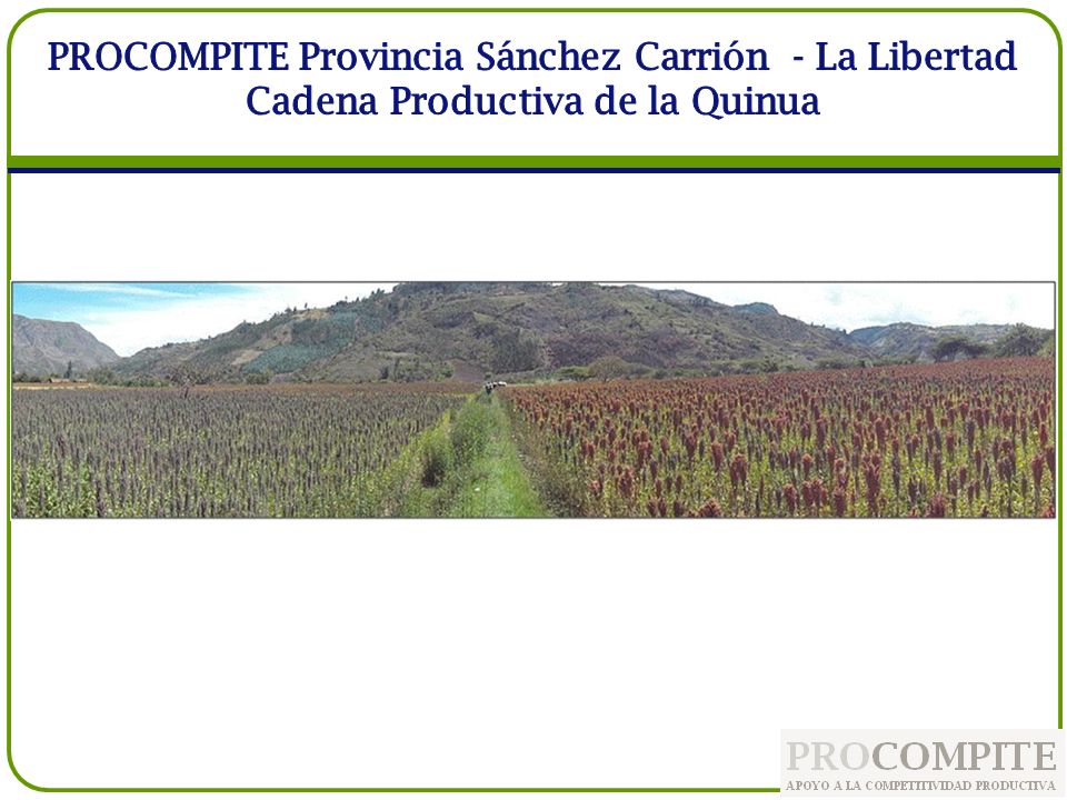 PROCOMPITE Provincia Sánchez Carrión - La Libertad Cadena Productiva de la Quinua