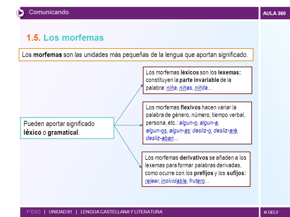 Comunicando 1.5. Los morfemas. Los morfemas son las unidades más pequeñas de la lengua que aportan significado.