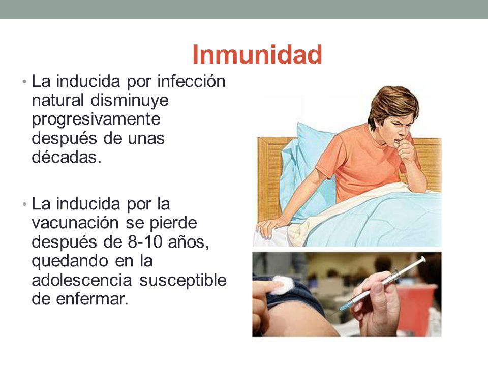 Inmunidad La inducida por infección natural disminuye progresivamente después de unas décadas.