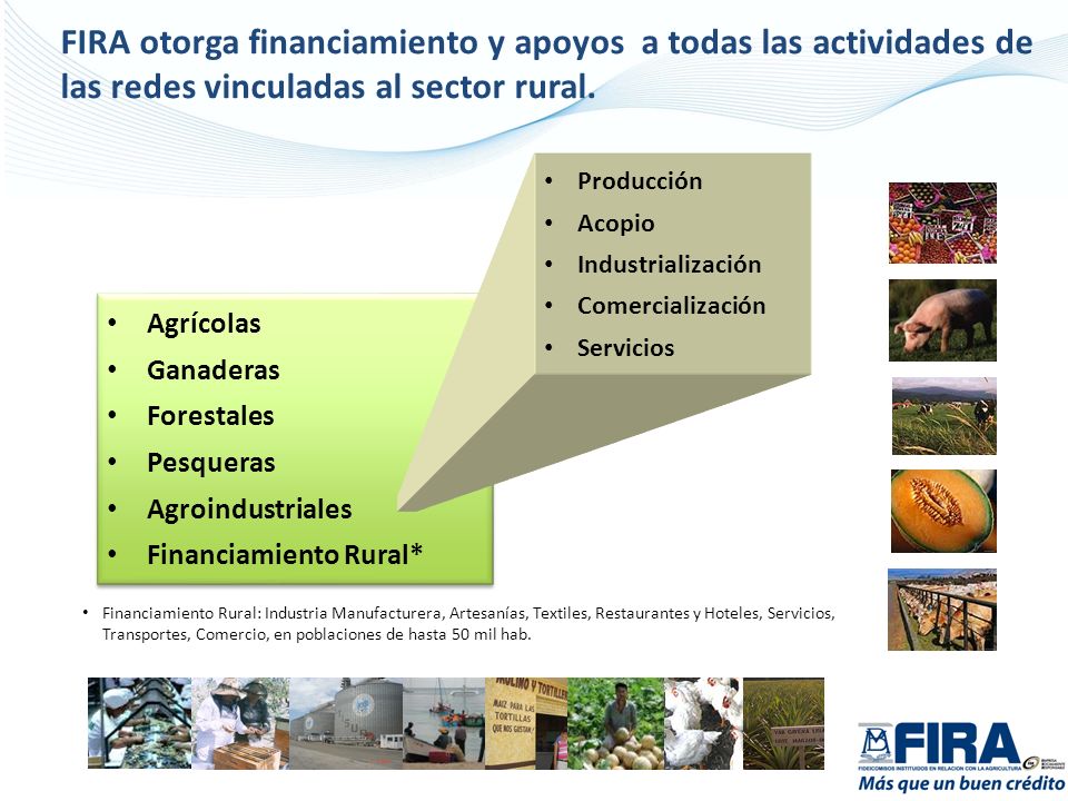 FIRA otorga financiamiento y apoyos a todas las actividades de las redes vinculadas al sector rural.