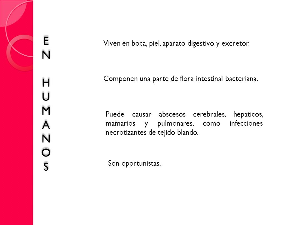 E N H U M A O S Viven en boca, piel, aparato digestivo y excretor.