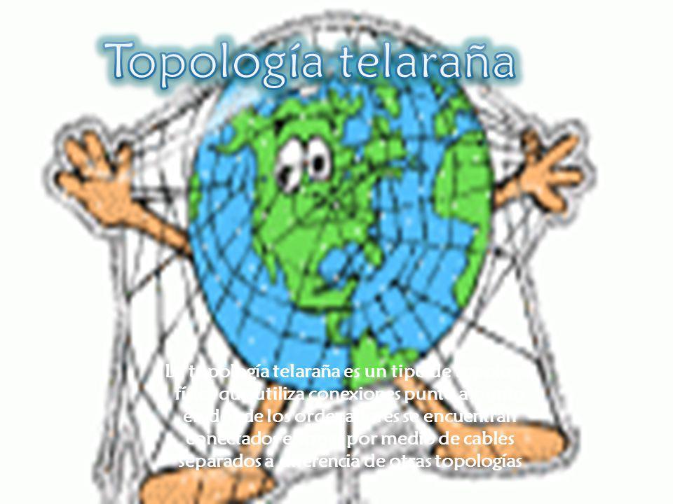 Topología telaraña