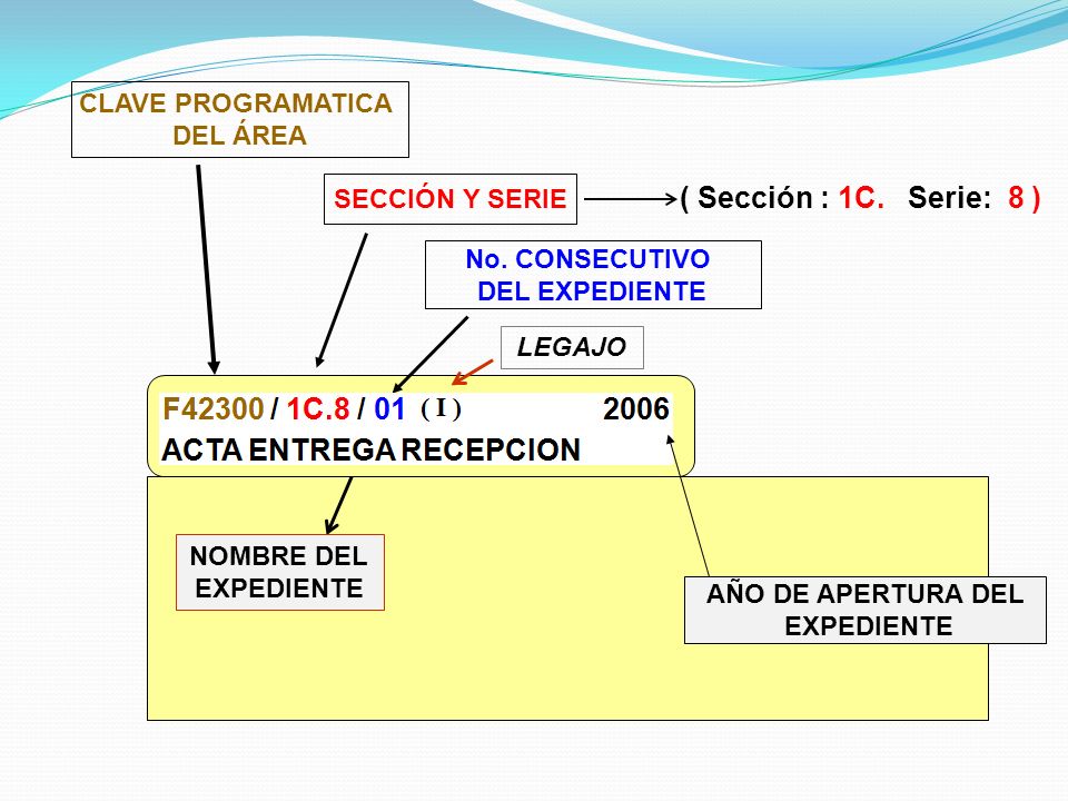 ( Sección : 1C. Serie: 8 ) CLAVE PROGRAMATICA DEL ÁREA SECCIÓN Y SERIE
