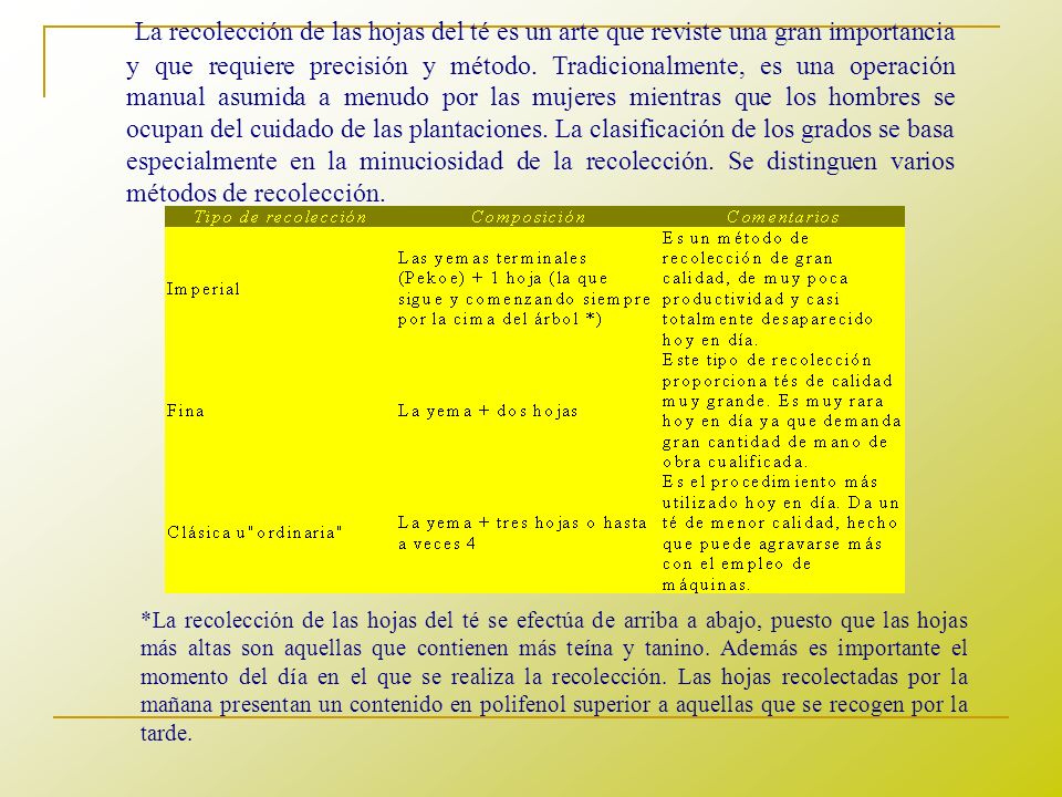 La recolección de las hojas del té es un arte que reviste una gran importancia y que requiere precisión y método. Tradicionalmente, es una operación manual asumida a menudo por las mujeres mientras que los hombres se ocupan del cuidado de las plantaciones. La clasificación de los grados se basa especialmente en la minuciosidad de la recolección. Se distinguen varios métodos de recolección.