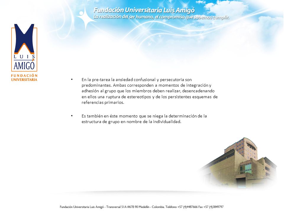 En la pre-tarea la ansiedad confusional y persecutoria son predominantes. Ambas corresponden a momentos de integración y adhesión al grupo que los miembros deben realizar, desencadenando en ellos una ruptura de estereotipos y de los persistentes esquemas de referencias primarios.
