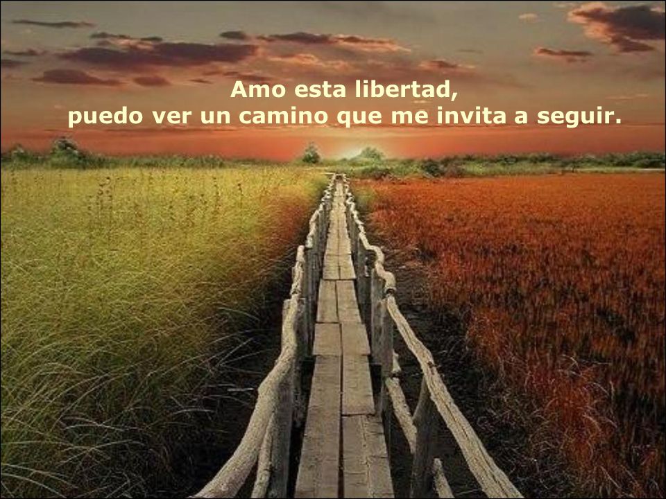 Amo esta libertad, puedo ver un camino que me invita a seguir.