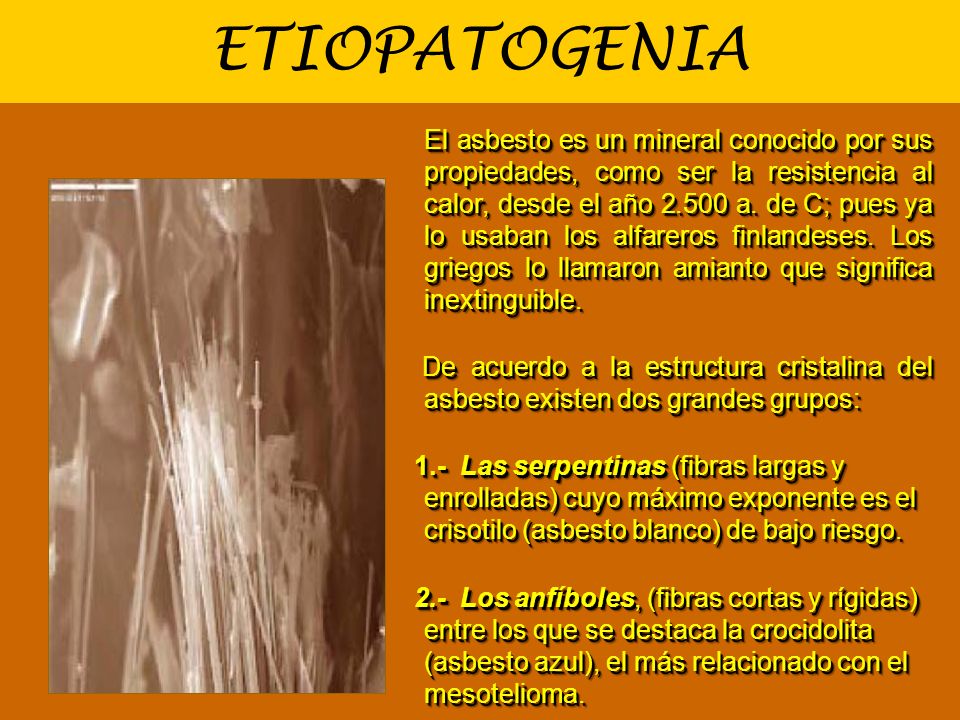 ETIOPATOGENIA