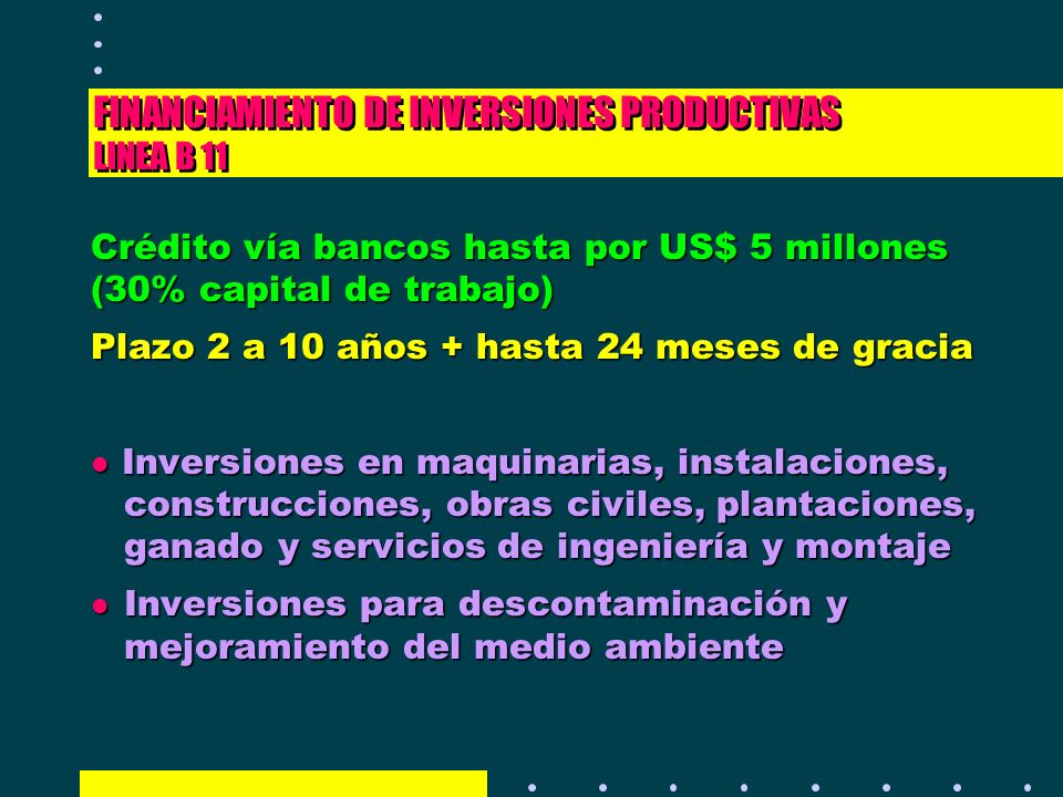 FINANCIAMIENTO DE INVERSIONES PRODUCTIVAS LINEA B 11