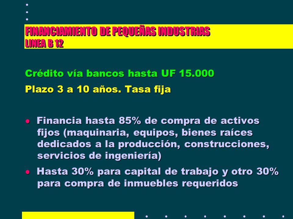 FINANCIAMIENTO DE PEQUEÑAS INDUSTRIAS LINEA B 12