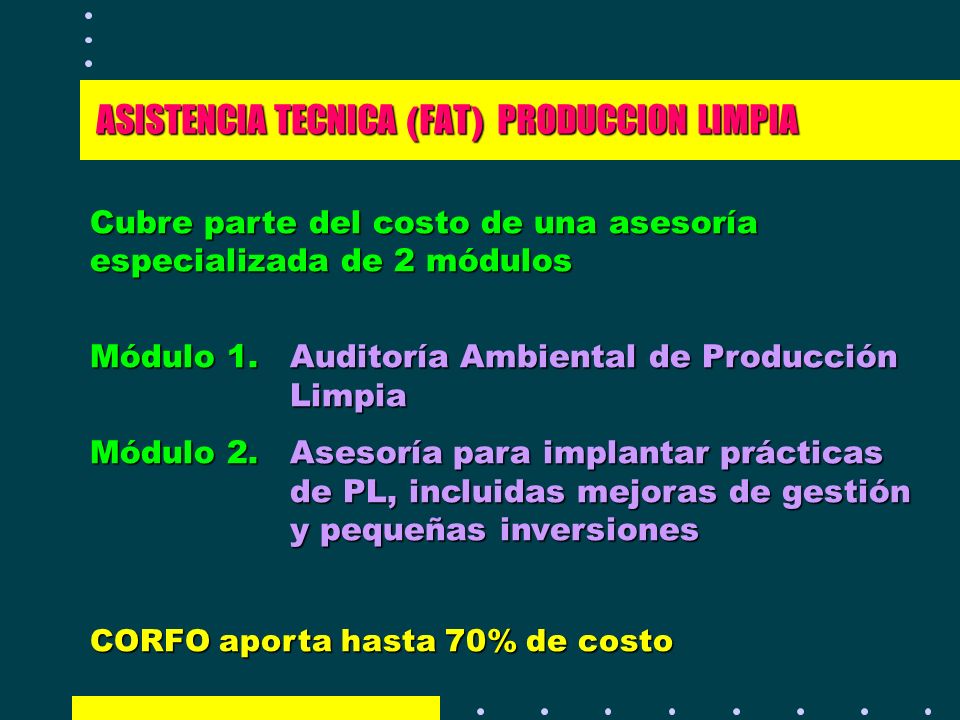 ASISTENCIA TECNICA (FAT) PRODUCCION LIMPIA