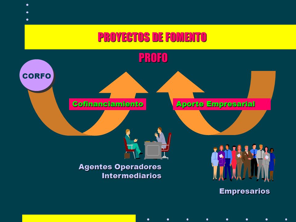 PROYECTOS DE FOMENTO PROFO CORFO Cofinanciamiento Aporte Empresarial