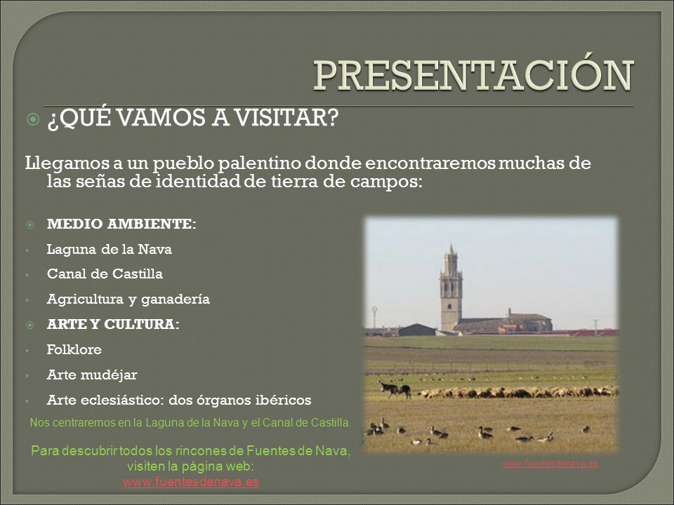 Nos centraremos en la Laguna de la Nava y el Canal de Castilla.