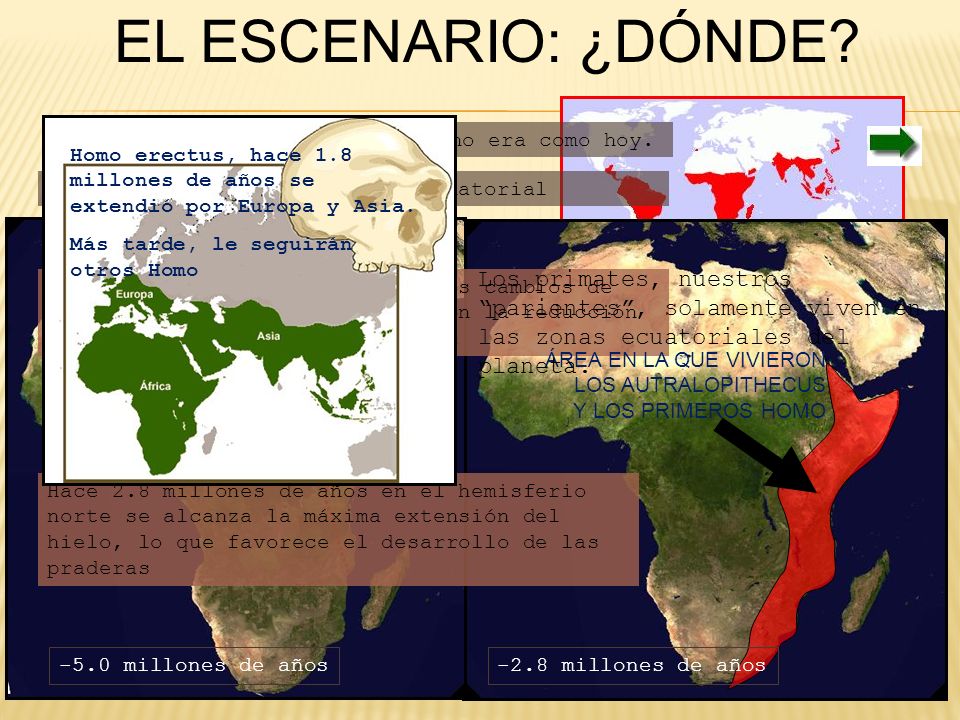 EL ESCENARIO: ¿DÓNDE Hace 5 millones de años África no era como hoy. Homo erectus, hace 1.8 millones de años se extendió por Europa y Asia.