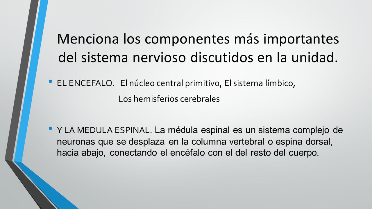 Menciona los componentes más importantes del sistema nervioso discutidos en la unidad.