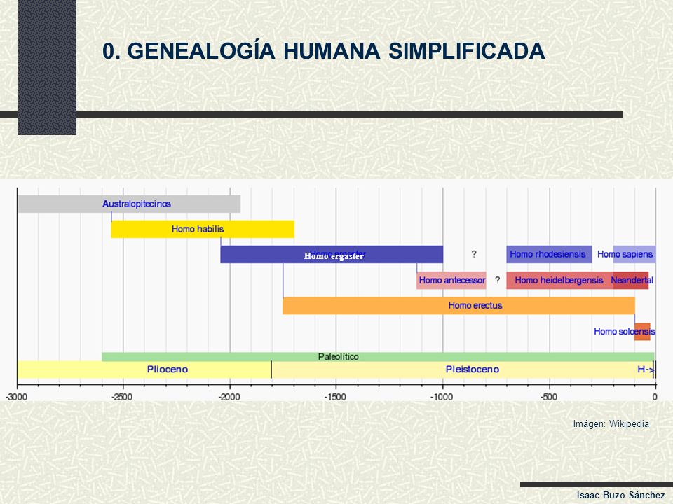 0. GENEALOGÍA HUMANA SIMPLIFICADA