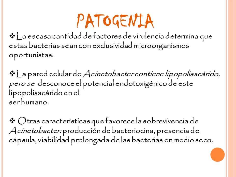 PATOGENIA La escasa cantidad de factores de virulencia determina que estas bacterias sean con exclusividad microorganismos oportunistas.