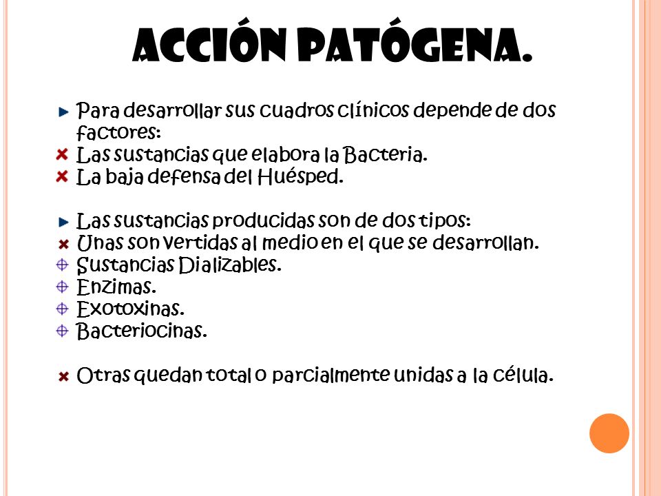 Acción patógena. Para desarrollar sus cuadros clínicos depende de dos factores: Las sustancias que elabora la Bacteria.