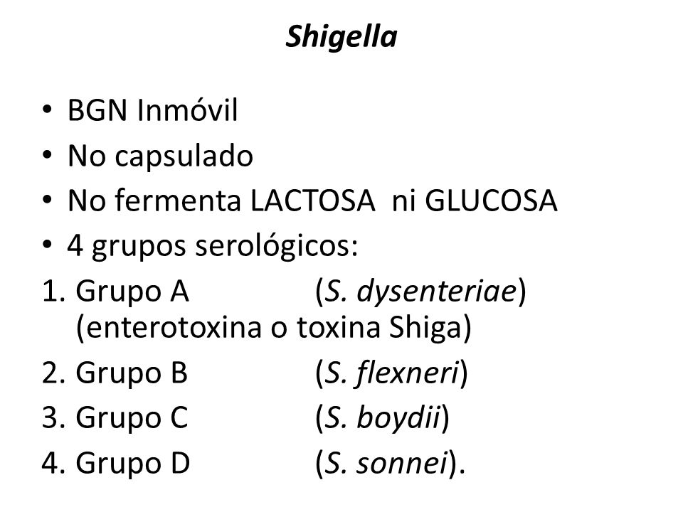 Shigella BGN Inmóvil. No capsulado. No fermenta LACTOSA ni GLUCOSA. 4 grupos serológicos: