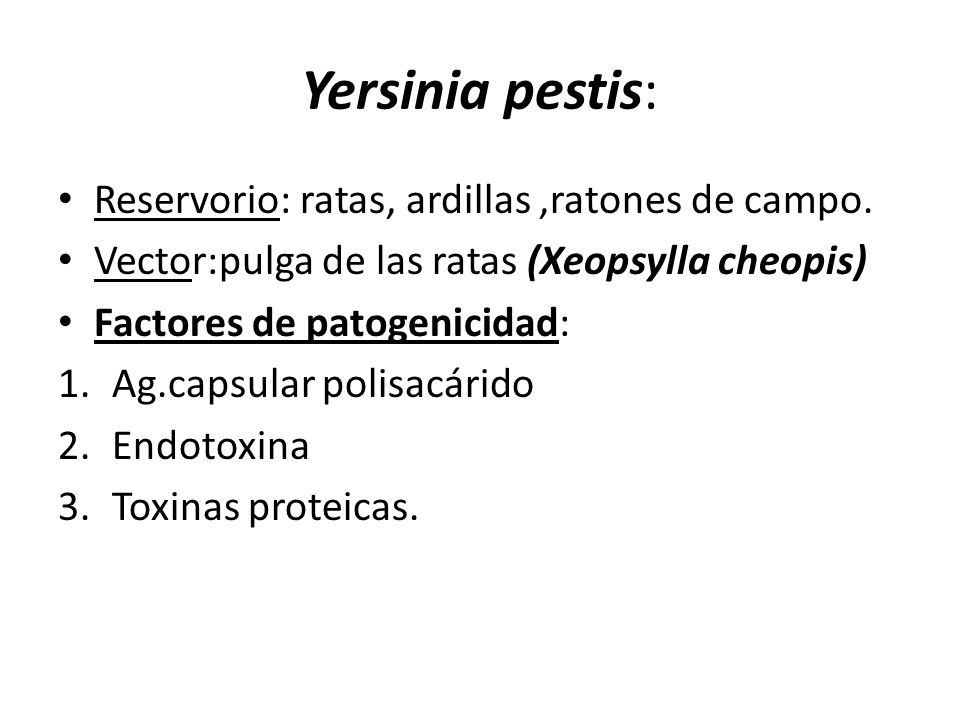 Yersinia pestis: Reservorio: ratas, ardillas ,ratones de campo.