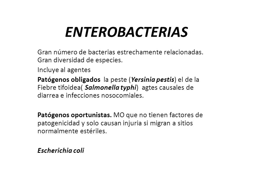 ENTEROBACTERIAS Gran número de bacterias estrechamente relacionadas. Gran diversidad de especies. Incluye al agentes.
