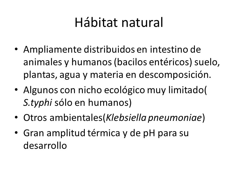 Hábitat natural Ampliamente distribuidos en intestino de animales y humanos (bacilos entéricos) suelo, plantas, agua y materia en descomposición.