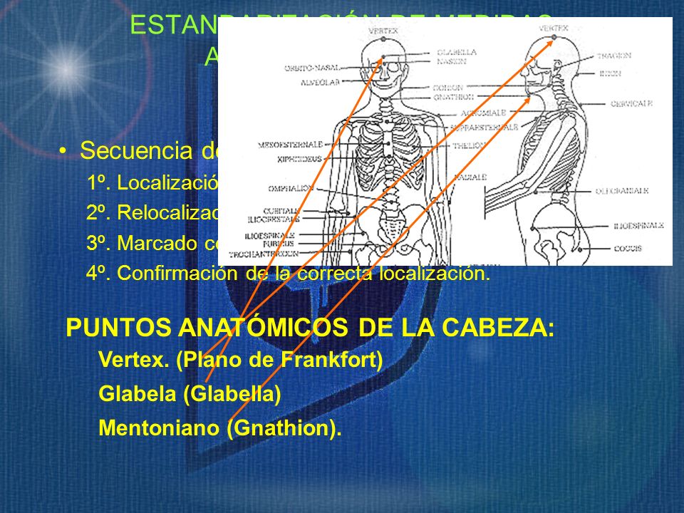 ESTANDARIZACIÓN DE MEDIDAS ANTROPOMÉTRICAS. Puntos Anatómicos.