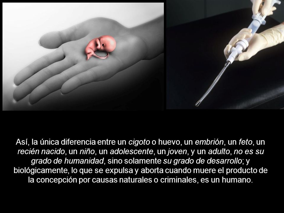 Así, la única diferencia entre un cigoto o huevo, un embrión, un feto, un recién nacido, un niño, un adolescente, un joven, y un adulto, no es su grado de humanidad, sino solamente su grado de desarrollo; y biológicamente, lo que se expulsa y aborta cuando muere el producto de la concepción por causas naturales o criminales, es un humano.