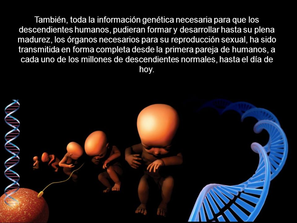 También, toda la información genética necesaria para que los descendientes humanos, pudieran formar y desarrollar hasta su plena madurez, los órganos necesarios para su reproducción sexual, ha sido transmitida en forma completa desde la primera pareja de humanos, a cada uno de los millones de descendientes normales, hasta el día de hoy.