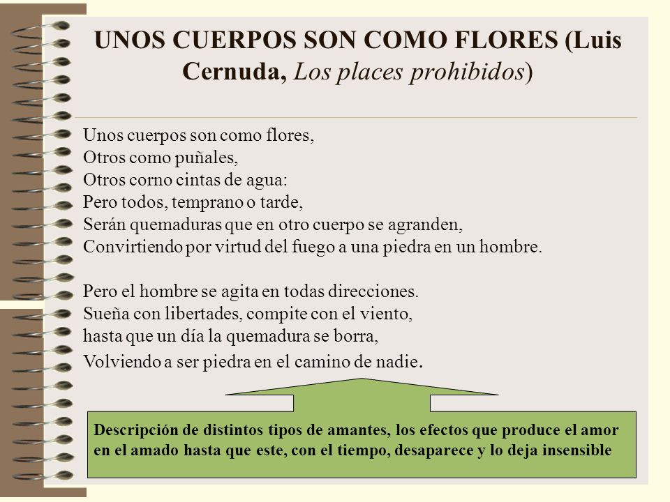 UNOS CUERPOS SON COMO FLORES (Luis Cernuda, Los places prohibidos)