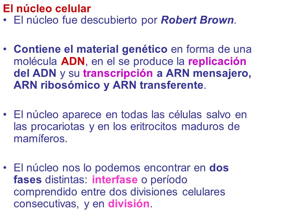 El núcleo celular El núcleo fue descubierto por Robert Brown.