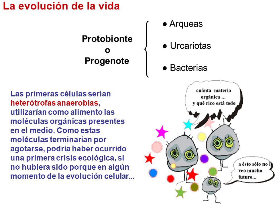 La evolución de la vida ● Arqueas ● Urcariotas Protobionte o