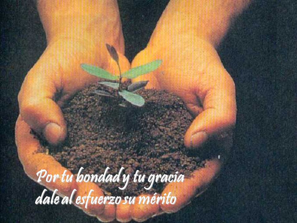 Por tu bondad y tu gracia dale al esfuerzo su mérito