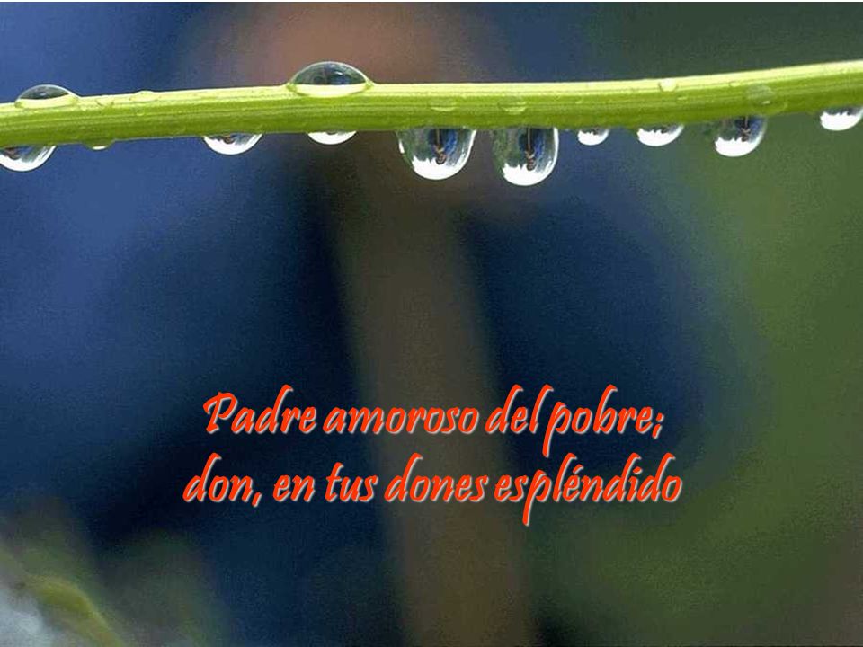 Padre amoroso del pobre; don, en tus dones espléndido