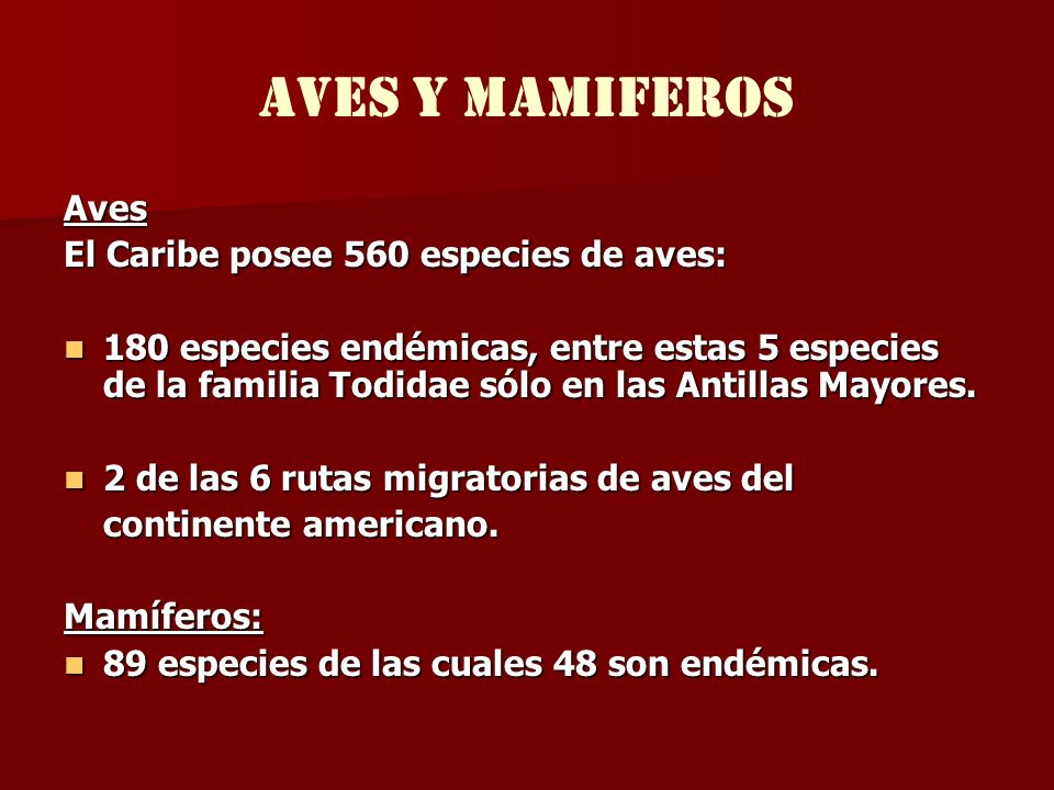aves y mamiferos Aves El Caribe posee 560 especies de aves: