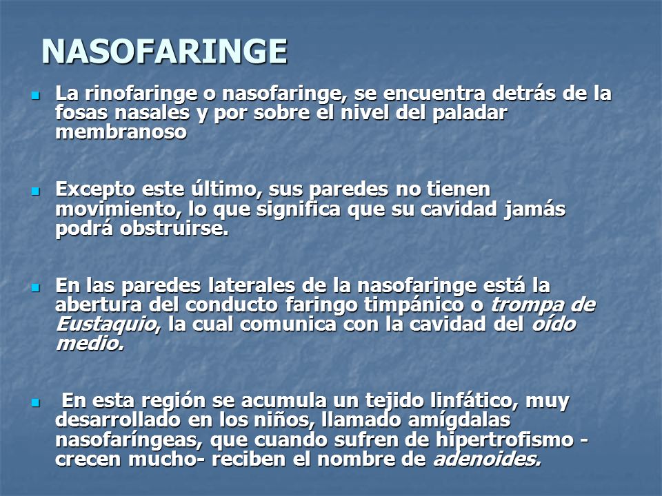 NASOFARINGE La rinofaringe o nasofaringe, se encuentra detrás de la fosas nasales y por sobre el nivel del paladar membranoso.