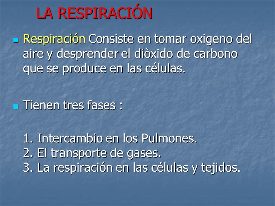 LA RESPIRACIÓN Respiración Consiste en tomar oxigeno del aire y desprender el diòxido de carbono que se produce en las células.