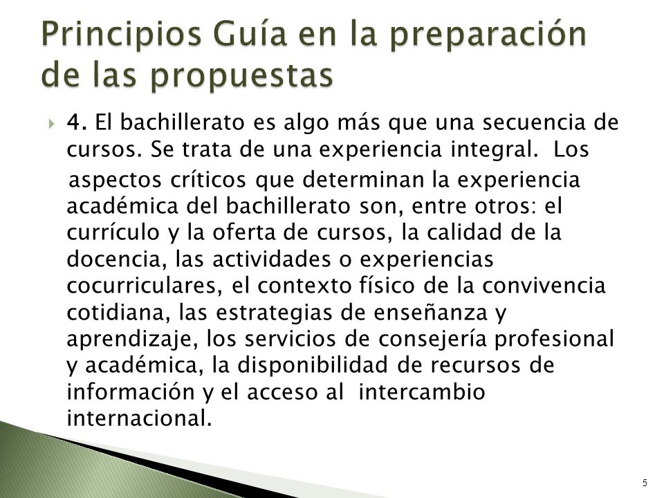 Principios Guía en la preparación de las propuestas