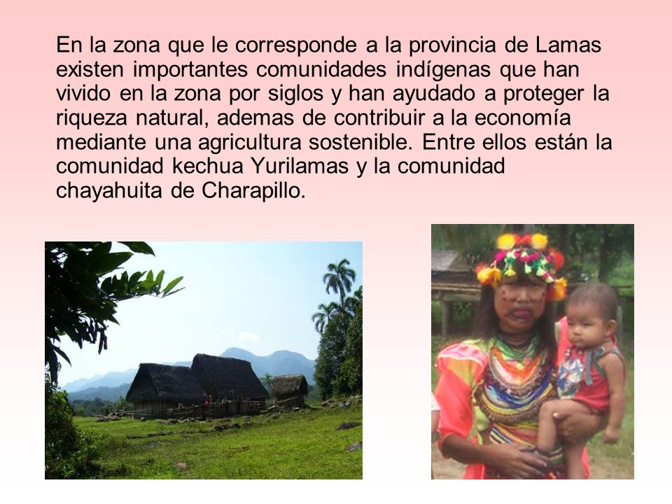 En la zona que le corresponde a la provincia de Lamas existen importantes comunidades indígenas que han vivido en la zona por siglos y han ayudado a proteger la riqueza natural, ademas de contribuir a la economía mediante una agricultura sostenible.