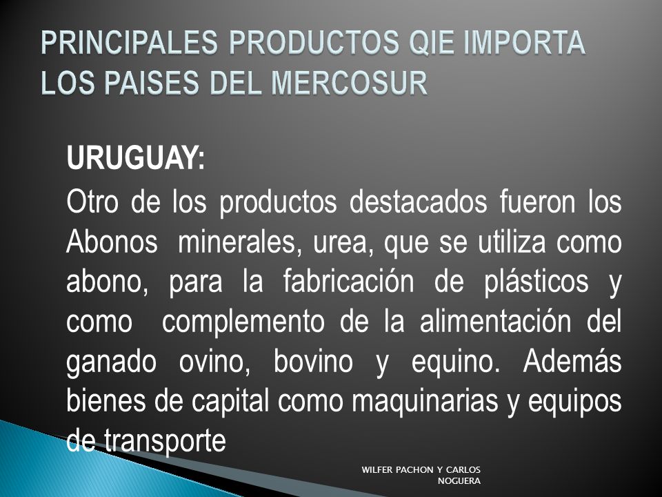 PRINCIPALES PRODUCTOS QIE IMPORTA LOS PAISES DEL MERCOSUR