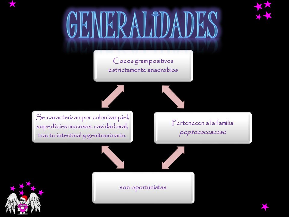 GENERALIDADES Cocos gram positivos estrictamente anaerobios. Pertenecen a la familia peptococcaceae.